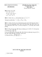 De HSG Toan 8 Dap an