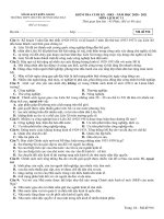 Đề thi học kì 1 môn Lịch sử lớp 11 năm 2020 - 2021 THPT chuyên Huỳnh Mẫn Đạt - Mã đề 916 | Lớp 11, Lịch sử - Ôn Luyện