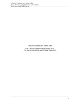 CÔNG TY CỔ PHẦN DIC - ĐỒNG TIẾNBÁO CÁO TÀI CHÍNH ĐÃ ĐƯỢC KIỂM TOÁNCho năm tài chính kết thúc ngày 31 tháng 12 năm 2012