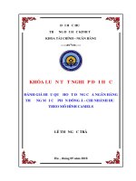 ĐÁNH GIÁ HIỆU QUẢ HOẠT ĐỘNG của NGÂN HÀNG THƯƠNG mại cổ PHẦN ĐÔNG á   CHI NHÁNH HUẾ THEO mô HÌNH CAMELS 