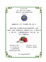 HOÀN THIỆN CHÍNH SÁCH MARKETING – MIX CHO sản PHẨM HOÀNG đế MINH MẠNG của CÔNG TY cổ PHẦN dược MEDIPHARCO tại THỊ TRƯỜNG THỪA THIÊN HUẾ 