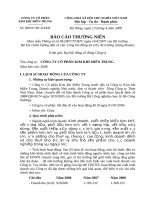 CƠNG TY CỔ PHẦN KIM KHÍ MIỀN TRUNG  BÁO CÁO THƯỜNG NIÊN