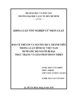 Bảo vệ trẻ em và người chưa thành niên trong luật hình sự việt nam dưới góc độ người bị hại thực trạng và giải pháp hoàn thiện 