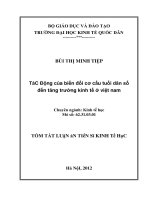 Tác động của biến đổi cơ cấu tuổi dân số đến tăng trưởng kinh tế ở việt nam (tt) 