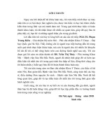 KHÓA LUẬN tốt NGHIỆP y học FULL (NHI KHOA) đánh giá kết quả điều trị vàng da tăng bilirubin gián tiếp ở trẻ sơ sinh bằng liệu pháp ánh sáng tại BV sản nhi bắc ninh 