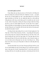 Xây dựng chiến lược sản phẩm nội địa của công ty cổ phần may đức giang đến năm 2012 (tt) 