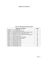 characteristics-of-audit-of-cash-and-cash-equivale-494887 (2)