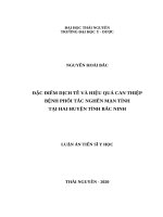 Đặc điểm dịch tễ và hiệu quả can thiệp bệnh phổi tắc nghẽn mạn tính tại hai huyện tỉnh bắc ninh 
