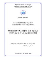 NGHIÊN CỨU XÁC ĐỊNH CHẾ ĐỘ BẢO  QUẢN BÁNH ÍT LÁ GAI BÌNH ĐỊNH