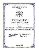 Phân tích chiến lược kinh doanh quốc tế và mô hình cấu trúc tổ chức của công ty Pepsico tại thị trường Việt Nam