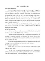 Tổ chức thực thi chương trình mục tiêu quốc gia về xây dựng nông thôn mới của chính quyền huyện lý nhân tỉnh hà nam (tt) 