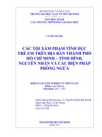 Các tội xâm phạm tình dục trẻ em trên địa bàn thành phố hồ chí minh   tình hình, nguyên nhân và các biện pháp phòng ngừa 