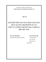 Giải pháp thúc đẩy xuất khẩu mặt hàng quần áo sang thị trường EU của công ty cổ phần thương mại và dịch vụ HBS Việt Nam