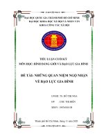 Tiểu luận cuối kỳ Công tác xã hội với bất bình đẳng giới và bạo lực gia đình