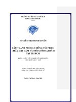 Đấu tranh phòng chống tội phạm chứa mại dâm và môi giới mại dâm tại tp  hồ chí minh 
