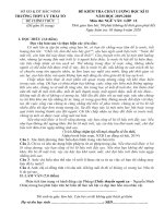 Đề thi học kì 2 môn Ngữ văn lớp 12 năm 2019-2020 – Trường THPT Lý Thái Tổ