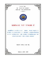 NGHIÊN cứu các yếu tố ẢNH HƯỞNG đến QUYẾT ĐỊNH sử DỤNG DỊCH vụ lữ HÀNH của KHÁCH HÀNG đối với CÔNG TY cổ PHẦN TRUYỀN THÔNG QUẢNG cáo và DỊCH vụ DU LỊCH đại BÀNG 