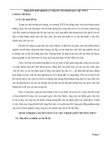 SKKN GVCN Giỏi cấp THCS