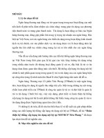 Tóm tắt luận văn thạc sĩ ngân hàng hoàn thiện hệ thống xếp hạng tín dụng nội bộ tại NHTMCP tiên phong 