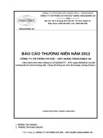 BÁO CÁO THƯỜNG NIÊN NĂM 2012CÔNG TY CỔ PHẦN CƠ KHÍ – XÂY DỰNG VINACONEX 20