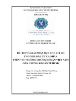 Rủi ro và giải pháp hạn chế rủi ro cho nhà đầu tư cá nhân trên thị trường chứng khoán việt nam (sàn chứng khoán TP  HCM 
