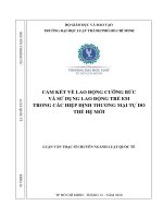 Cam kết về lao động cưỡng bức và sử dụng lao động trẻ em trong các hiệp định thương mại tự do thế hệ mới 