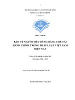 Bảo vệ người tiêu dùng bằng chế tài hành chính trong pháp luật việt nam hiện nay 