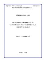 Chất lượng tín dụng đầu tư tại ngân hàng phát triển việt nam   chi nhánh gia lai 