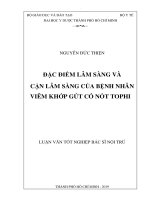 Đặc điểm lâm sàng và cận lâm sàng của bệnh nhân viêm khớp gút có nốt tophi 