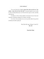 Xử lý vi phạm hành chính trong lĩnh vực lâm nghiệp   từ thực tiễn tỉnh thừa thiên huế 