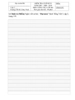 DE THI TIENG VIET LOP BA CUOI KI II NAM HOC 20092010