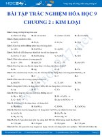 Bài tập trắc nghiệm Hóa học 9- Chương 2- Kim Loại