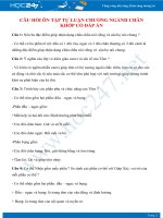 Câu hỏi tự luận ôn tập Chương Ngành Chân khớp Sinh học 7 có đáp án