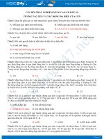 Câu hỏi trắc nghiệm nâng cao chủ đề Tương tác gen và tác động đa hiệu của gen Sinh học 9 có đáp án