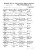 Đề thi tham khảo THPT quốc gia 2019 Tiếng Nga