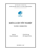 Giải pháp nhằm hoàn thiện công tác marketing tại công ty TNHH thanh tú 
