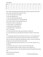 trắc nghiệm câu 1 2 3 4 5 6 7 8 9 10 11 12 a b c d câu1 nhân tố tác động mạnh mẽ đến nền kinh tế thế giới chuyển nền kinh tế thế giới sang giai doạn phát triển nền kinh tế tri thức a cuộc cách mạng k