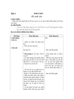 khoa hoc lop 5 tuan 15 theo ckt