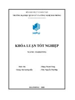 Giải pháp mở rộng thị trường tiêu thụ sản phẩm tại công ty TNHH thương mại dịch vụ tổng hợp trường hưng thịnh 