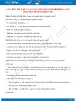 Câu hỏi tự luận ôn tập Chương Động vật nguyên sinh Sinh học 7 có đáp án