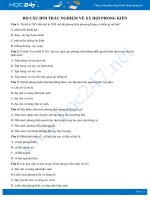 Bộ câu hỏi ôn tập về Xã hội phong kiến có đáp án môn Lịch sử 7