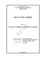 Cánh tay robot gắp hàng tự động