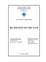 Luận văn tốt nghiệp dự báo dân số việt nam 