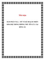 Tiểu luận: ĐÀM PHÁN NGA – MỸ VỀ KẾ HOẠCH TRIỂN KHAI HỆ THỐNG PHÒNG THỦ TÊN LỬA TẠI ĐÔNG ÂU