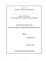 Xây dựng bài thực tập khảo sát hiệu ứng doppler với sóng siêu âm 