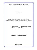 Tóm tắt luận án Tiến sĩ Kinh tế Nông nghiệp: Giải pháp phát triển sản xuất cam theo hướng hàng hóa ở tỉnh Tuyên Quang