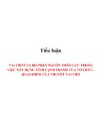 Tiểu luận: Vai trò của bộ phận nguồn nhân lực trong việc xây dựng tính cạnh tranh của tổ chức quan điểm của thuyết vai trò