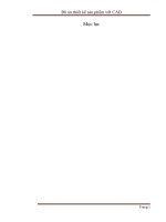 Đồ án Thiết kế sản phẩm với CAD: Chi tiết máy đóng trục