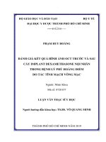 Đánh giá kết quả hình ảnh oct trước và sau cấy implant dexamethasone nội nhãn trong bệnh lý phù hoàng điểm do tắc tĩnh mạch võng mạc 