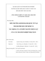 Môi trường kinh doanh quốc tế tại thành phố hồ chí minh và tác động của nó đến nguồn nhân lực của các doanh nghiệp nhật bản     